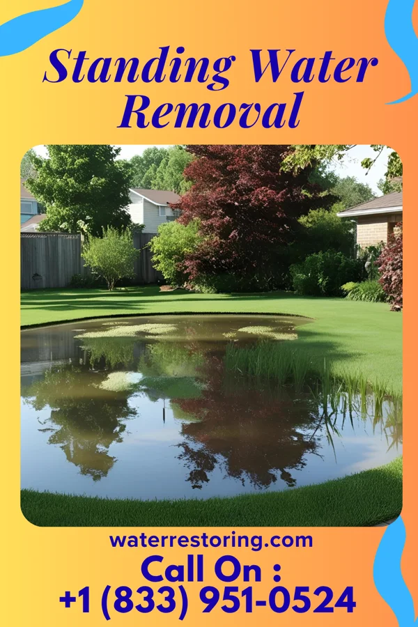 Standing Water Removal in Giltner, NE